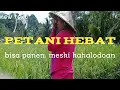 Petani hebat tetap panen meski kemarau panjang hanya dgn melakukan ini