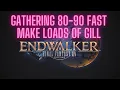 FFXIV Endwalker - Leveling Gatherer s 80-90 Fast Less than 3 hours