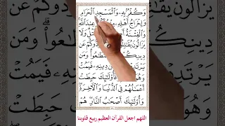 سورة البقرة من الاية 214 الي 218 Memorizequran اكسبلور المصحف 