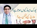 Download Lagu Treatment And Symptoms Of Uric Acid In Urdu/Hindi - By Dr. Khalid Jameel Akhtar