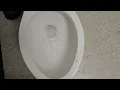 FedEx Office Men s Restroom with Gerber Maxwell Toilet
