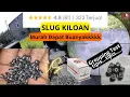 Download Lagu Nyobain Mimis Slug Kiloan Murah Dapetnya Buanyakkkk