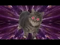Oii Oii Kitty Spin (Hard Techno Remix) (Spinning Cat)