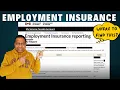 How To Find Your EI Report and Other Tips