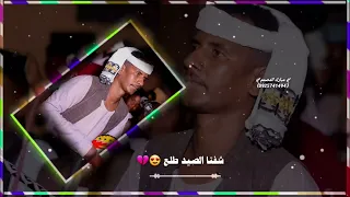 جديد بلة ود الاشبة صغيرة 