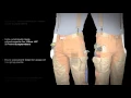 Comfort-Tuff Work Pants