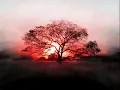 Before The Dawn - Deliverance