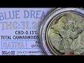 Cali Weed Strain Review 24 Reviewing Iconic Indoor Blue Dream Strain Did Top Shelf Grow it Right