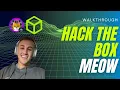 HackTheBox Walkthrough - Meow