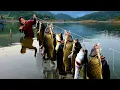Download Lagu Diep's traditional fishing skills, catching a huge 18kg school of fish in a large lake.