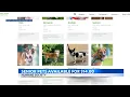 Adopt a senior pet for 14 at Humane Society s Oahu campuses