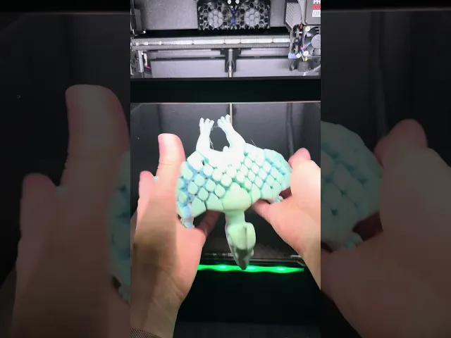 Flexi Cute Pterosaur video thumbnail