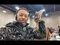 Jackson Reptile Expo 2026 Michigan s Exotic Reptile Event