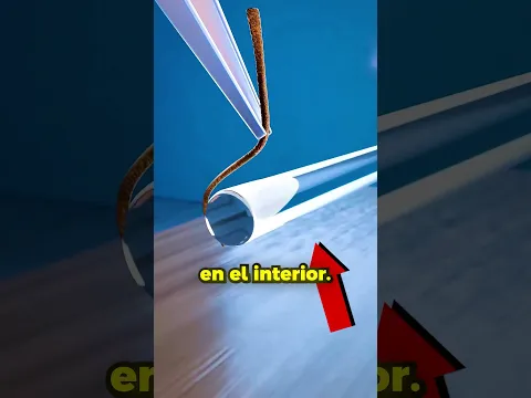 CIENTÍFICOS CONVIRTIERON A UN MOSQUITO EN UNA IMPRESORA 3D