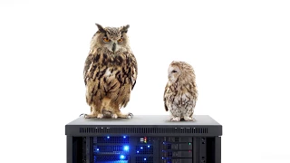 WGU College of IT Acronyms Commercial