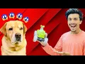 Download Lagu Remote control car prank on my Dog | Leo dar gya | Anant Rastogi