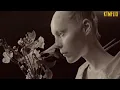 TOOL - FORTY SIX & 2 (LYRICS) @TOOLmusic