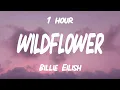 Download Lagu Billie Eilish - WILDFLOWER (Lyrics) [1HOUR]