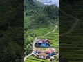 Download Lagu Kampung Tengah Sawah #shortsvideo #shortsfeed #pedesaan