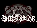 SHREDBEAR | Mors Principium Est - Lost In A Starless Aeon | Guitar Cover (2022)