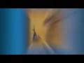 Ziad Rahbany - يلله كشو برا = Yalla Kichou Barra  (Lebanon 1985)