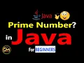 Prime Number Program in Java Revealed