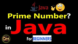 Prime Number Program in Java Revealed