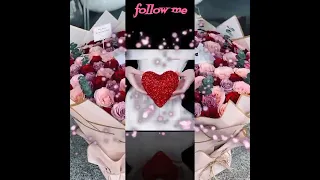 باين حبيت وانت معايا عمرو دياب بدون موسيقى بدون موسيقى عيد 