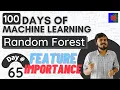 Feature Importance using Random Forest and Decision Trees How is Feature Importance calculated