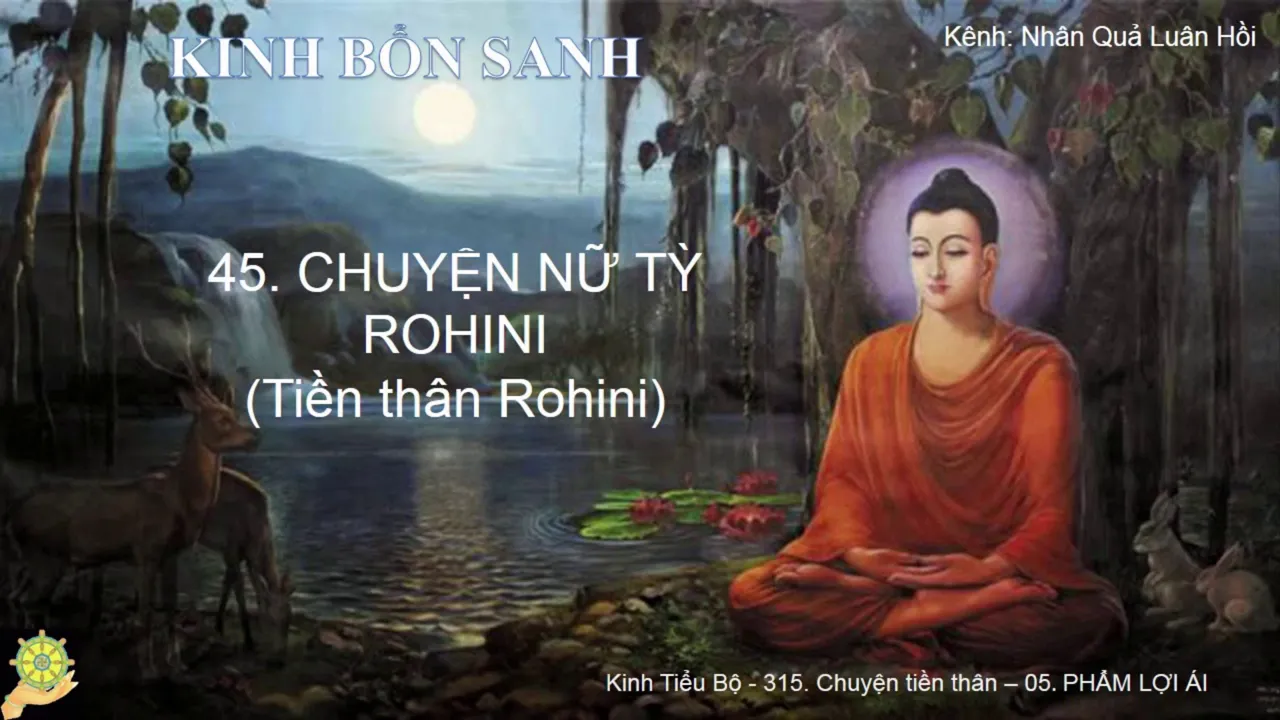 45 Truyện NỮ TỲ ROHINI Tiền thân Rohini Truyện Tiền Thân Đức Phật Tập 1 