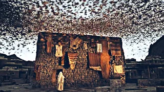 الله سبحانه يرسل طير الابابيل على جيش ابره 