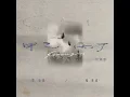 甲乙丙丁Strangers (合唱版)