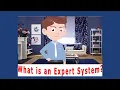 What is an Expert System