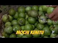 Lagu MOCHI KENITU | JEJAK SI GUNDUL (28/01/21)