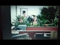 Staples commercial rewards program