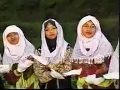 Download Lagu TAHANINA  group sholawat FSGR Temanggung panji kinasih #FSGR#panjikinasih