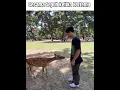 Download Lagu Sesama Sepuh Merendah Sampai Inti Bumi #meme #memeindonesia #memeviral #sepuh