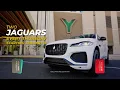 Eight Jaguars Four weeks Yaamava Resort Casino