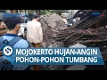 Download Lagu Mojokerto Diacak acak Hujan Disertai Angin Kencang, Puluhan Rumah Rusak, Pohon Tumbang Timpa Motor