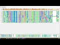 View and Align Multiple Sequences MATLAB Bioinformatics example walkthrough