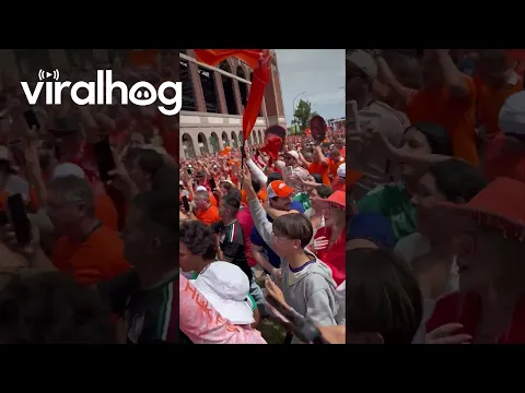 Chaos at the Netherlands Orange Walk || ViralHog