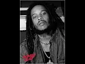 Stephen Marley - Mind Control (lyrics + paroles + letras)