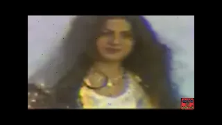 سعدي الحلي ليش ما سلمت مو لله السلام 