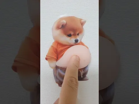 엄마가 새로나온 슬랑이 라고 우겨요;; 여러분의 생각은?? #강아지 #시바견 #왁뿌볼