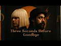 Download Lagu Sia ft. Damian Marley – Three Seconds Before Goodbye (Official Video) Emotiona Vibe | Raggae Pop