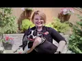 Pet Grooming Careers with Aussie Pet Mobile Franchisees