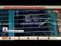 കുടുങ്ങി കുടുങ്ങി...പത്തനാപുരത്തെ പുലി കൂട്ടിൽ കുടുങ്ങി
