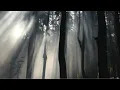 LONOWN, Asenssia - addiction  (sped up version + best part loop + distorted)