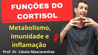 Funções do cortisol: metabolismo, sistema imune e resposta inflamatória