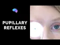 Pupillary Reflexes - OSCE Guide Clip UKMLA CPSA PLAB 2